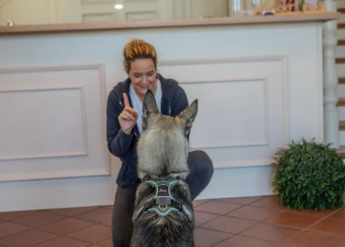 Markt Eins Stadtblick Apartman *
